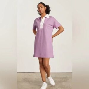 NWOT Everlane Organic Cotton Short Sleeve Polo/Rugby Dress Mauve/Bone